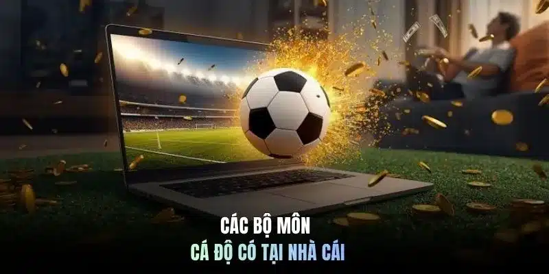 Các bộ môn cá độ có tại nhà cái