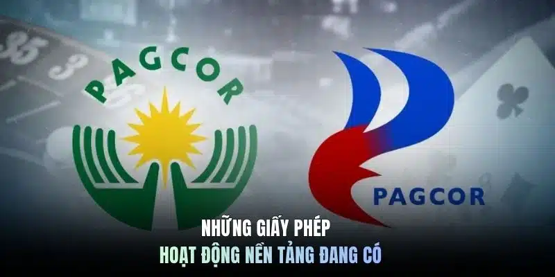Những giấy phép hoạt động nền tảng đang có